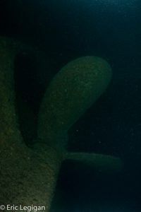 29604389376_24d56ffd33_z