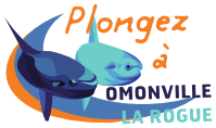 HagueMarine – Plongée et Nage avec Palmes