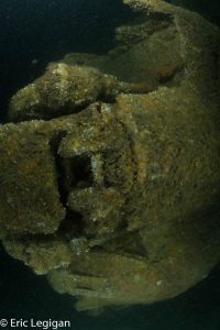 U121-6
